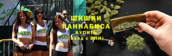 шишки Бугульма