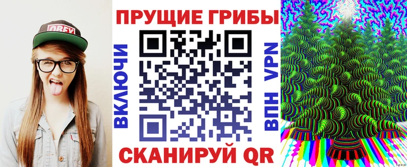 Псилоцибиновые грибы мицелий  Очёр 
